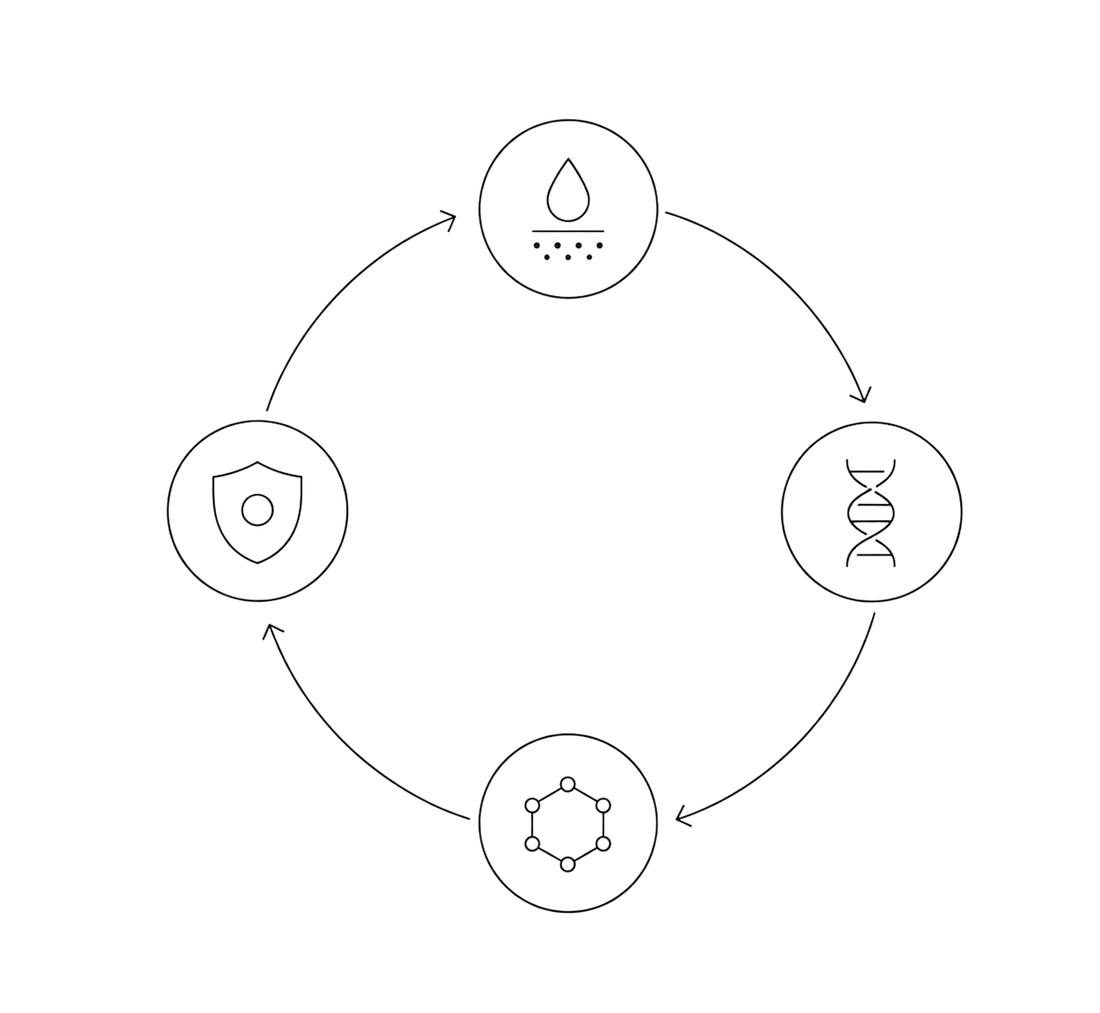 4-Path System technology used in the professional Advanced Pigment Control treatment