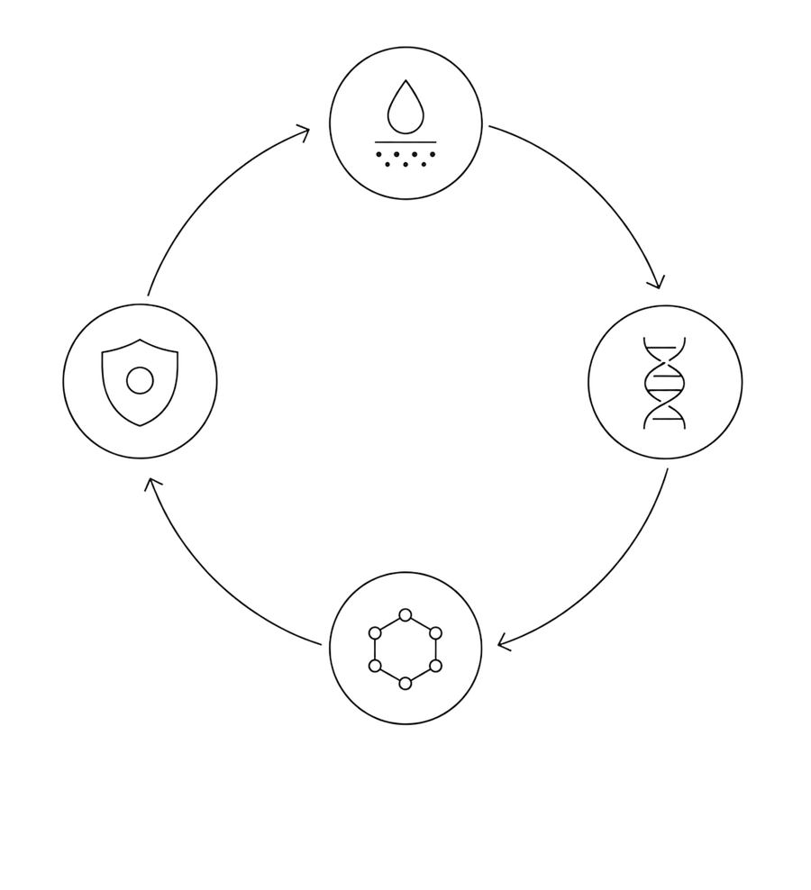4-Path System technology used in the professional Advanced Pigment Control treatment