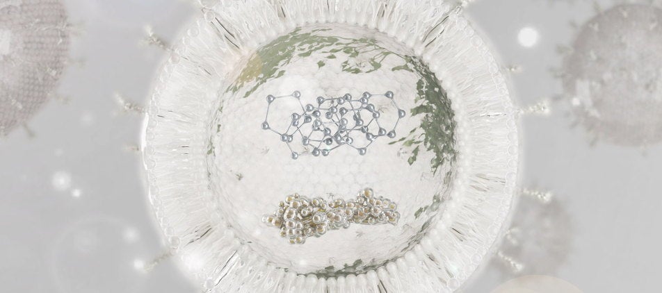 Representación de un exosoma vegetal