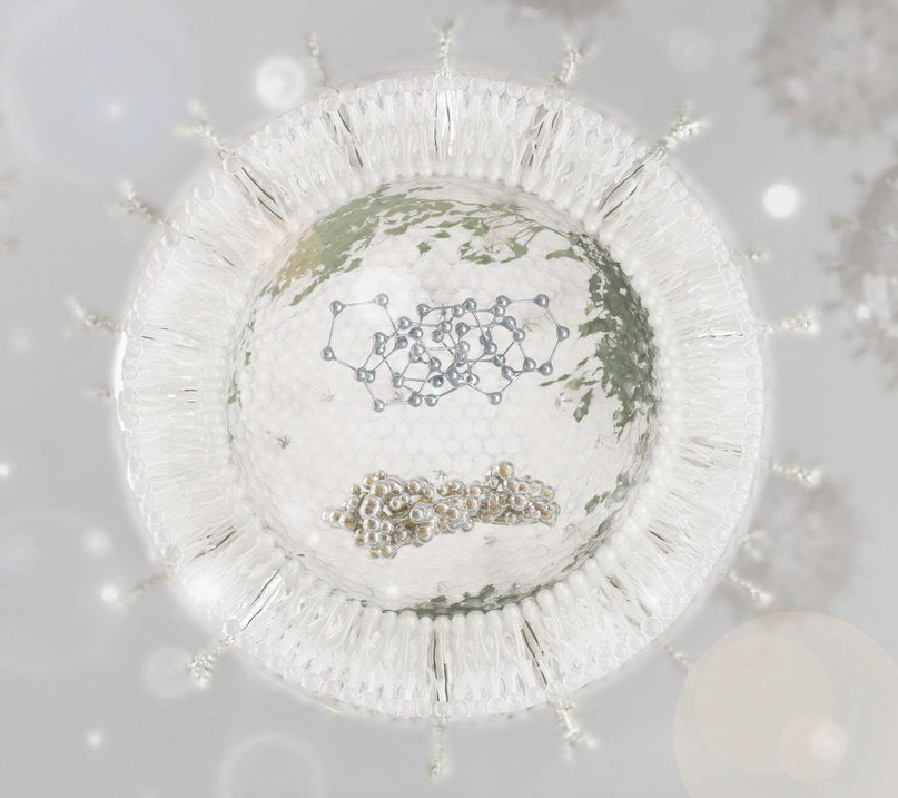 Representación de un exosoma vegetal
