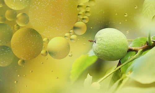 Aceite de Kahai