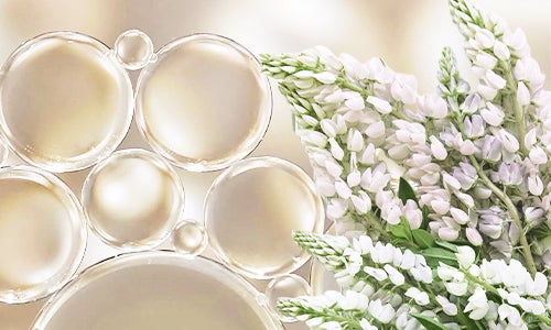 Aceite de Semilla De Lupinus Albus