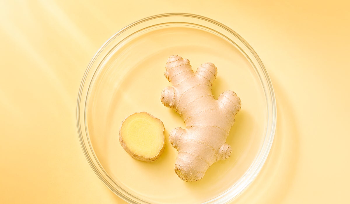 Extracto concentrado de raíz de jenjibre 100% natural