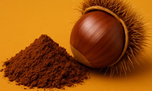 Extracto de Castaña