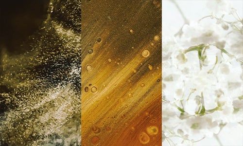 Extracto de Shikakai + Extracto de Semillas del Dátil + Raíces de Gypsophila
