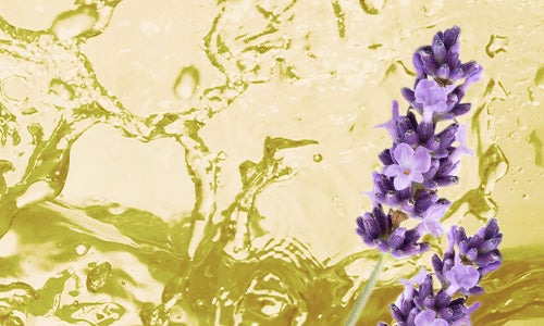 Aceite esencial de Lavanda