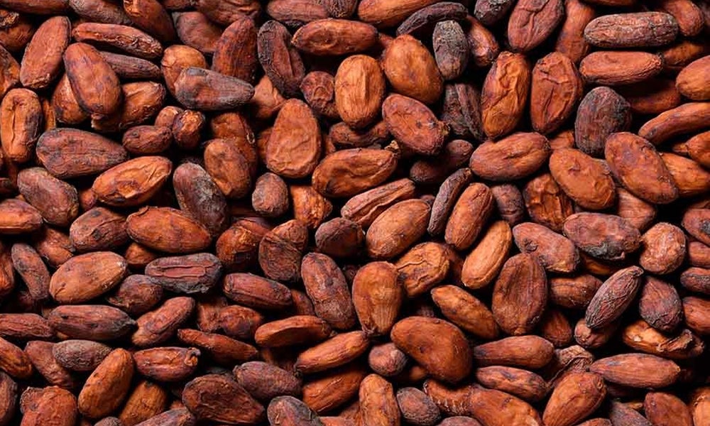 Manteca de Cacao