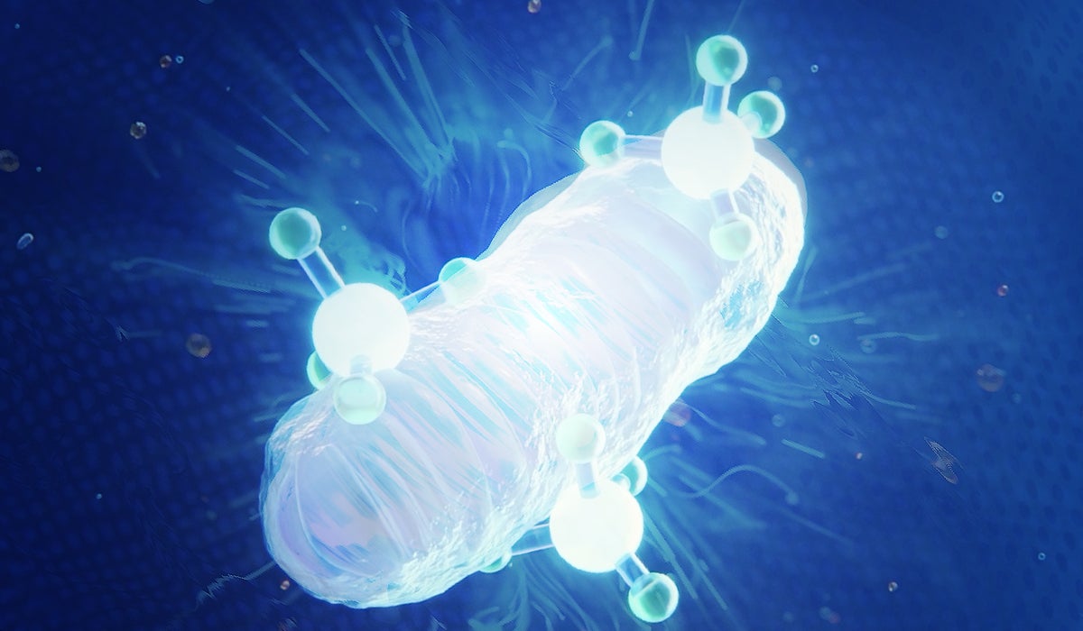 Mitocore NAD+TM