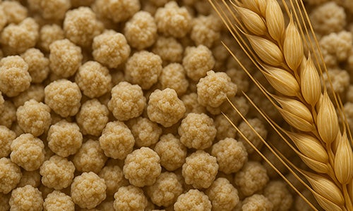 Proteínas de Trigo