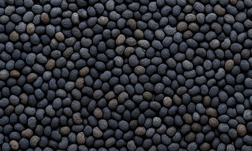 Semillas de Amapola