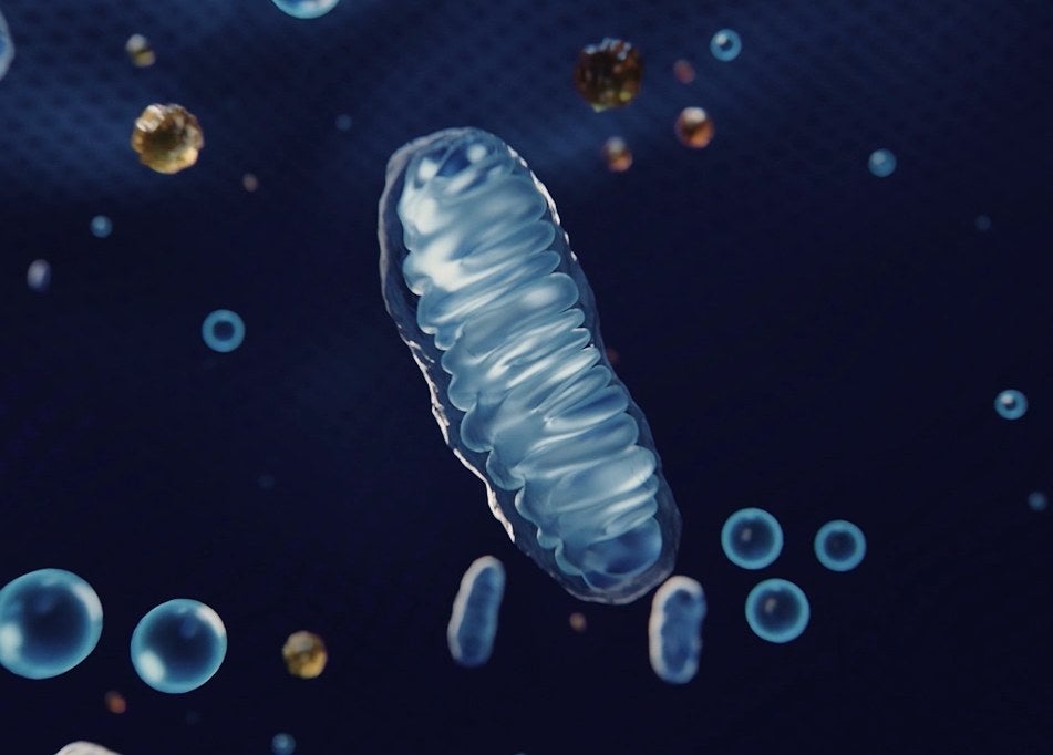 Tecnología Mitocore NAD+