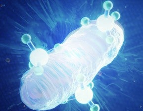 MITOCORE NAD + TM