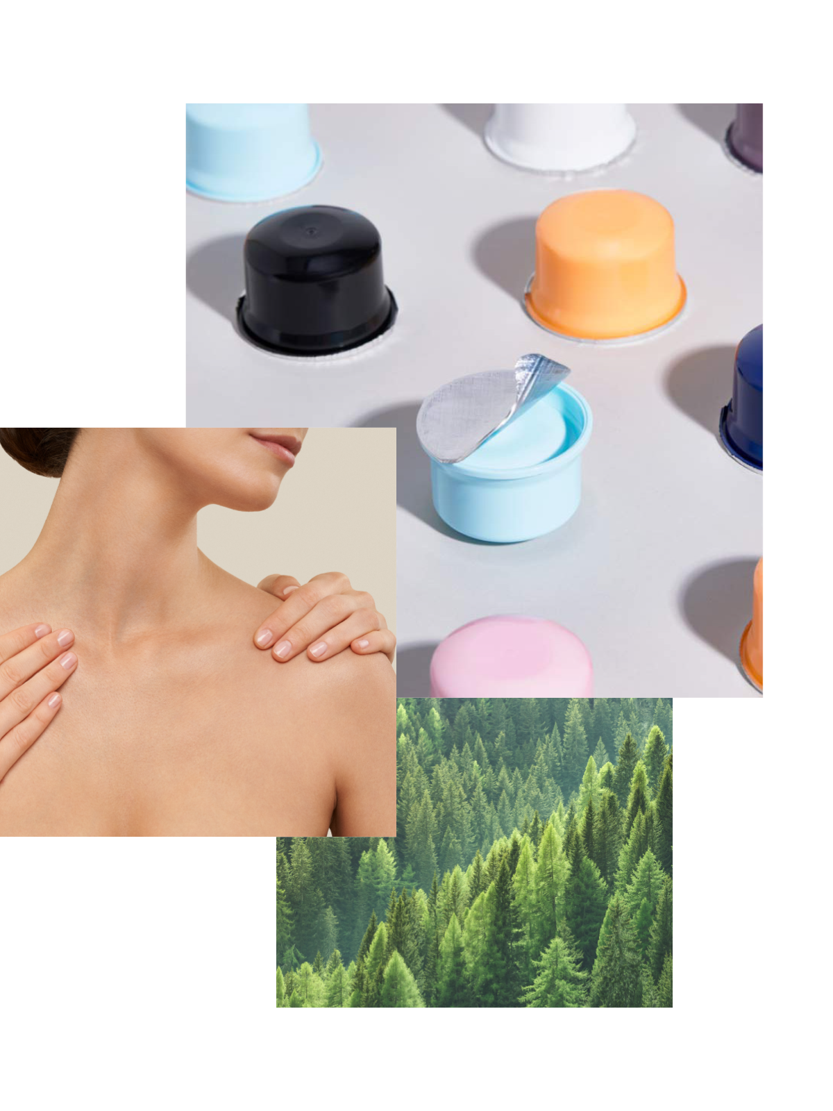 Envases sostenibles y entorno natural