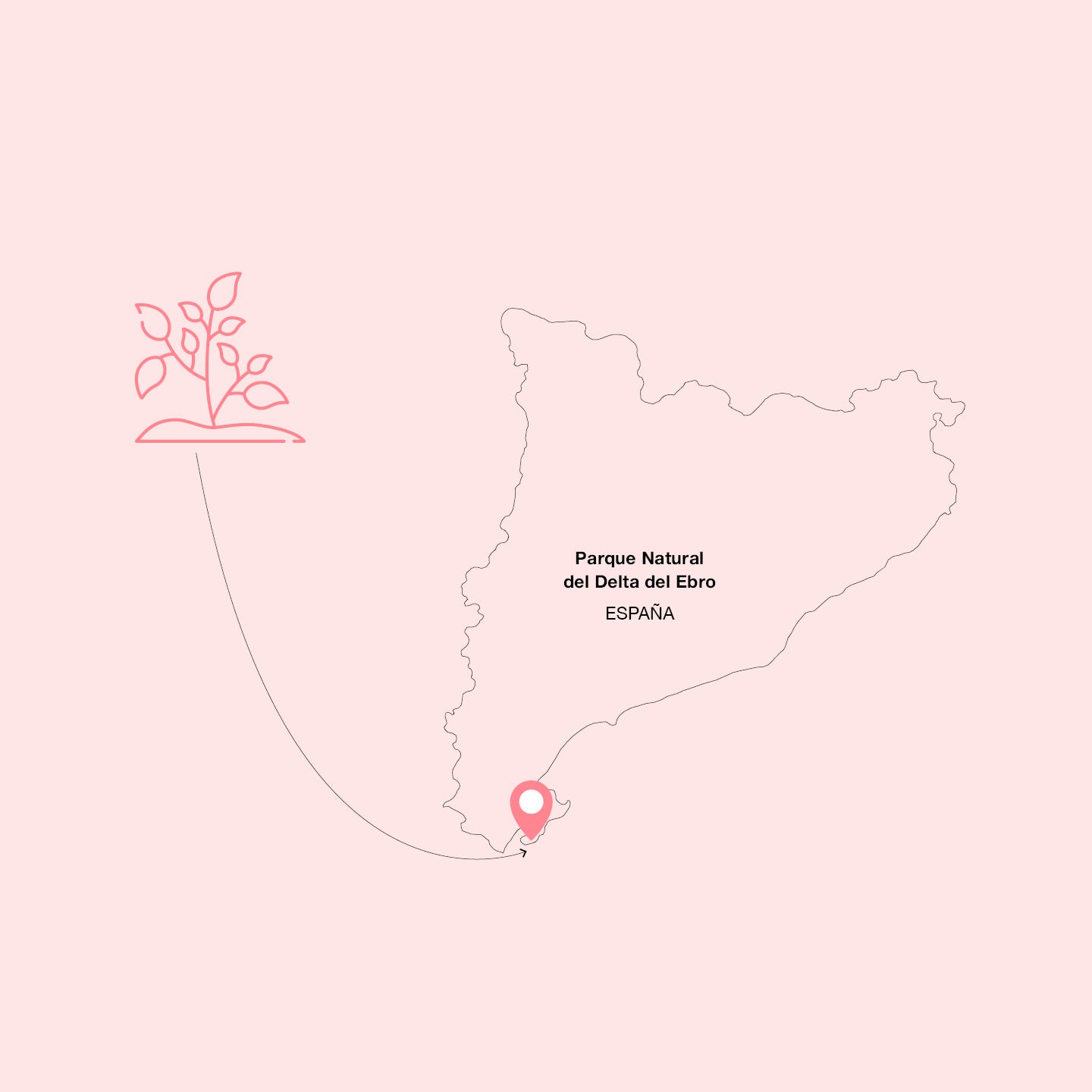RESPETUOSOS CON EL ENTORNO