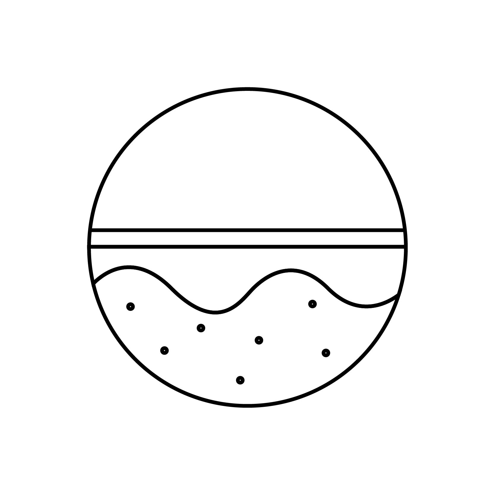 PUREXPERT05 PUREXPERT05